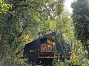 Casa nueva para 6 personas en Reserva Huilo Huilo